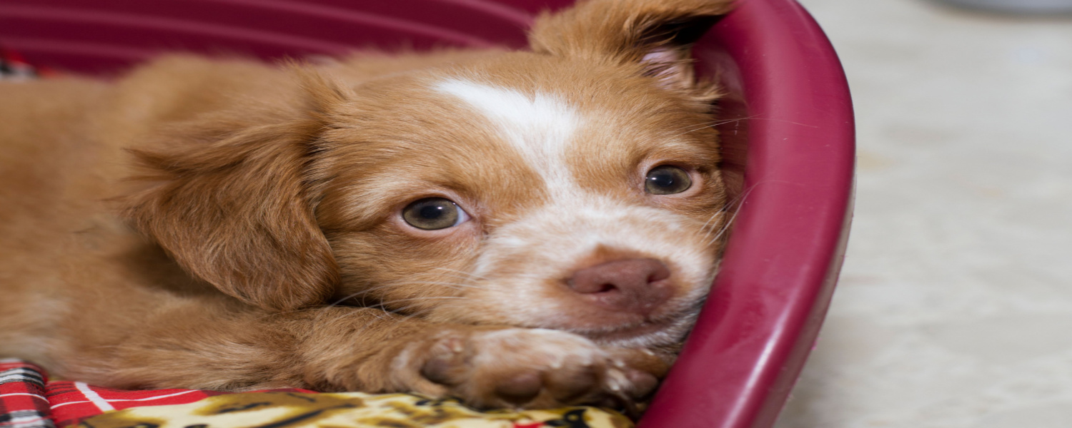 Daycare Yorkville IL