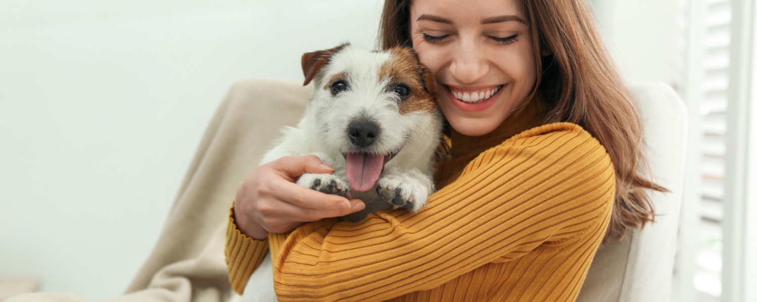Daycare for Dogs Glen Ellyn IL